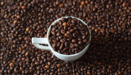 Top down photo of a white cup surrounded and filled with coffee beans